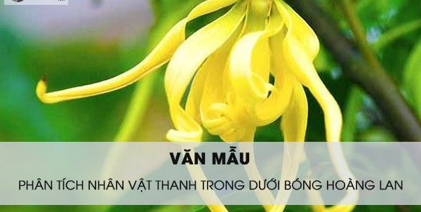 Ảnh minh họa (Nguồn từ internet) ảnh 1