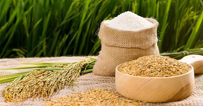 Hình ảnh minh họa (Nguồn: internet) hình 1