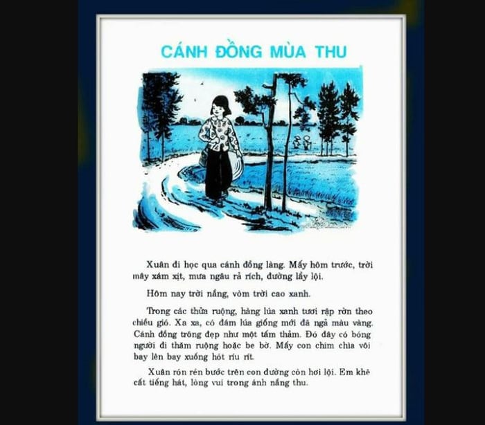 Cánh đồng mùa thu vàng ảnh 1