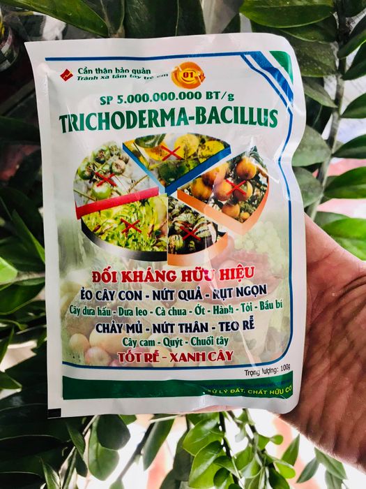 Nấm đối kháng trichoderma bacillus hình ảnh 1