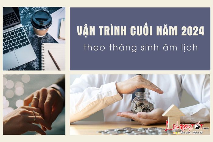 Vận trình cuối năm 2024