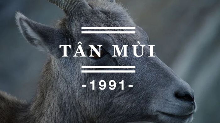 Người sinh năm 1991 hợp với cây gì?