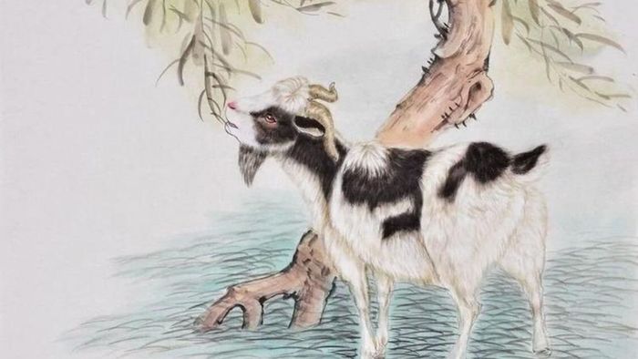 Hướng hợp và không hợp với người sinh năm 1991
