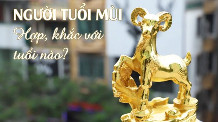 Những tuổi nào hợp với năm 1991?