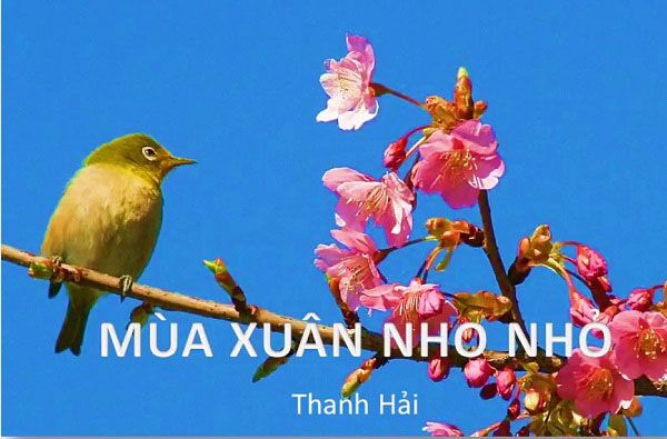 Hình ảnh minh họa số 1