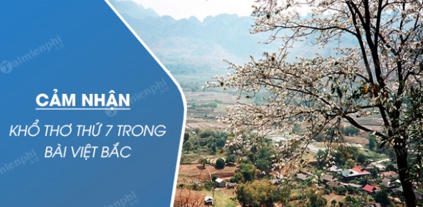 Hình ảnh món ăn tại nhà hàng - Ảnh 1