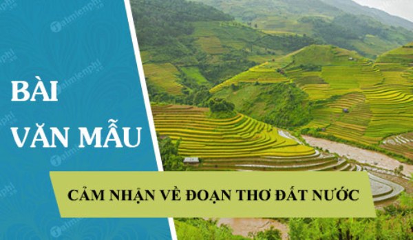 Hình minh họa (Nguồn từ internet) hình 1