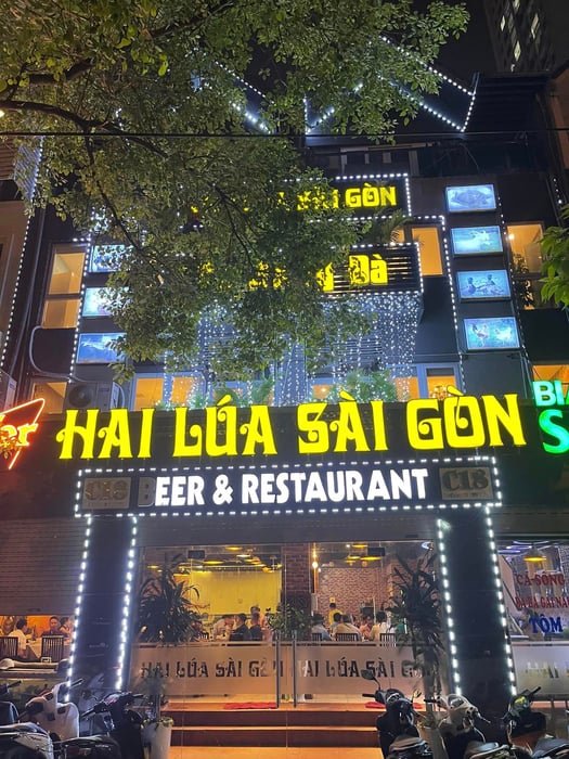 Hình ảnh Hai Lúa Sài Gòn - Beer & Restaurant 1