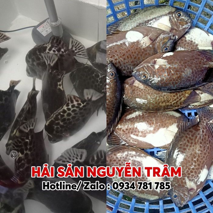 Hình ảnh Hải Sản Sạch Trâm Nguyễn 2