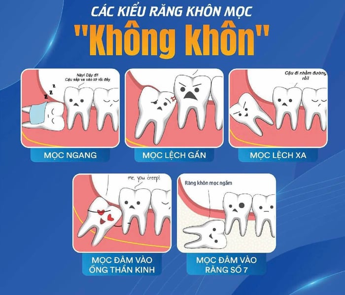 Hình ảnh Nha Khoa Việt Pháp - LBS 1