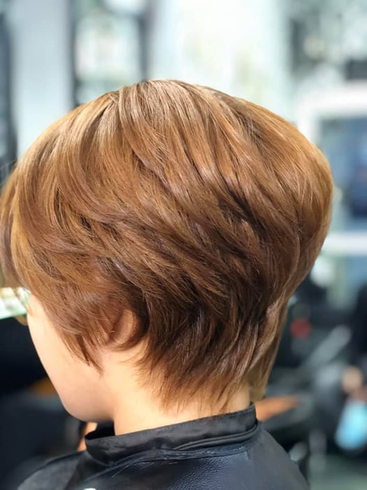 Hình ảnh Salon Tóc Việt 2