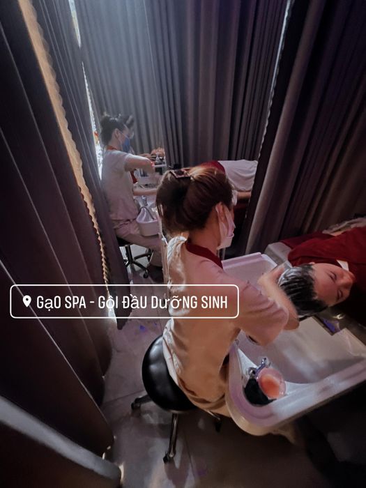 Gạo Spa hình 1