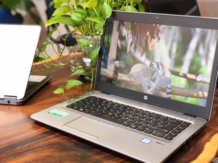 LaptopBamboo hình ảnh 2