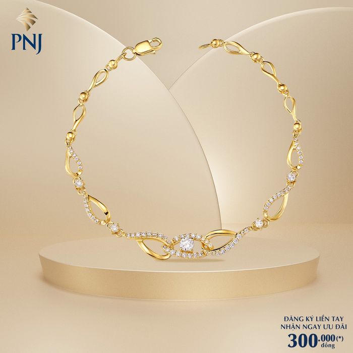 PNJ hình 2
