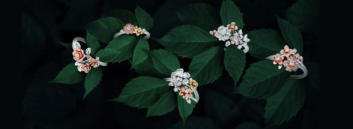 Ảnh 2 của Lộc Phúc Fine Jewelry
