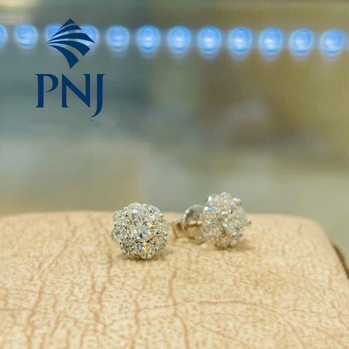 Hình ảnh PNJ An Đông 2