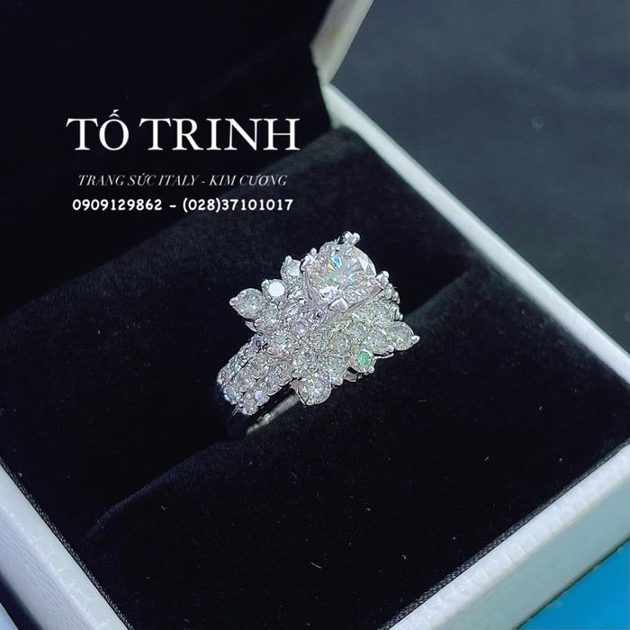 Trang sức Tố Trinh hình 1