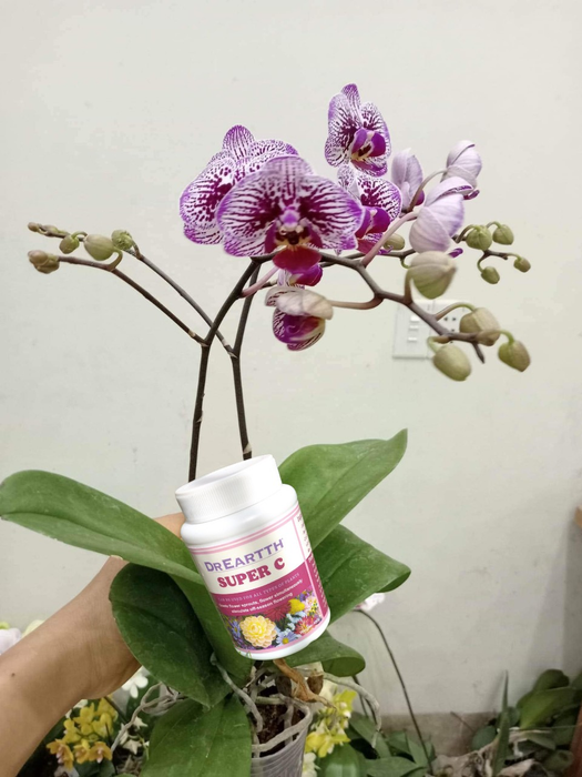Hình ảnh Vật tư nông nghiệp xanh