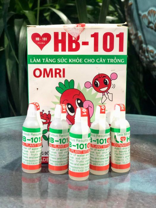 Hình ảnh Thế giới cây & hoa Từ Sơn 2