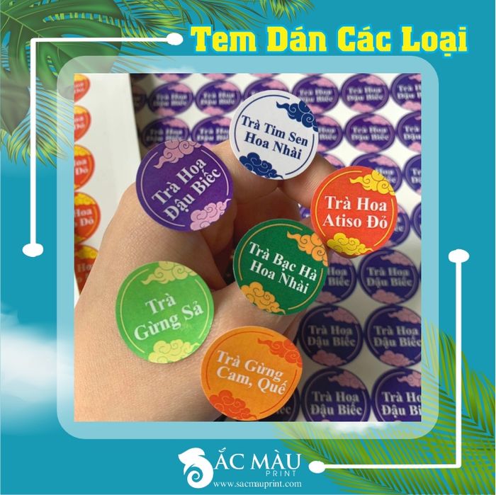 Hình ảnh 1 của Sắc Màu Print