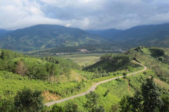 Hình minh họa số 1
