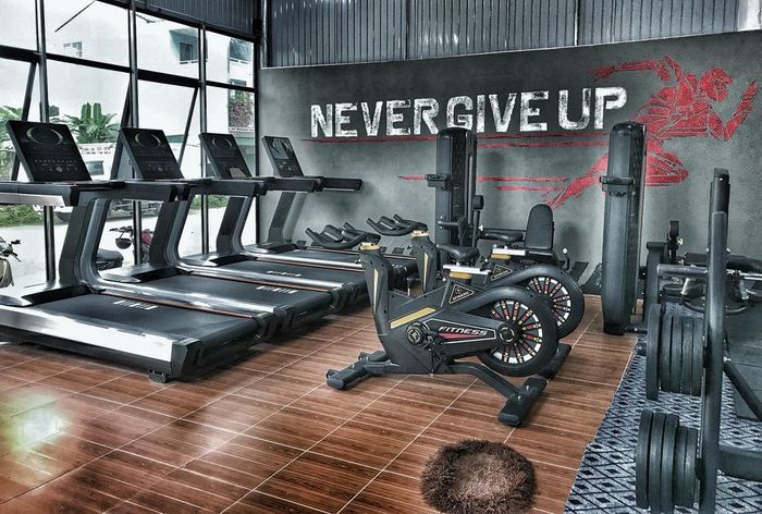 Hình ảnh 2 của Lifting Na - Gym Classic