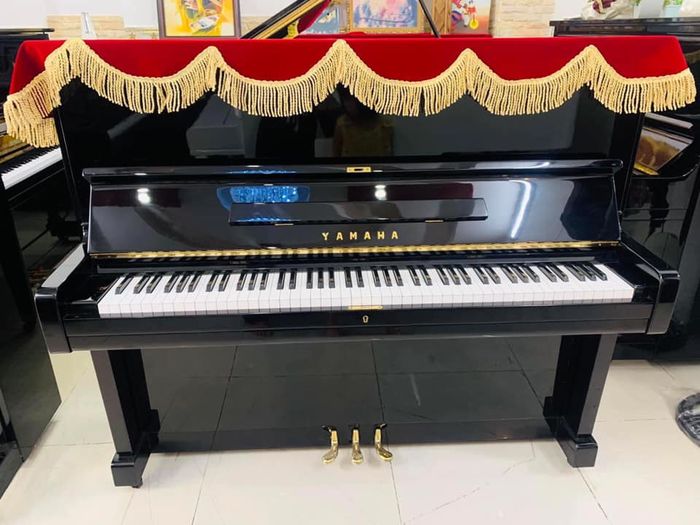 Hình ảnh Trung Tâm Âm Nhạc Martino 1