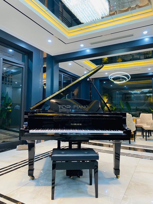 Ảnh 1 của TOP Piano