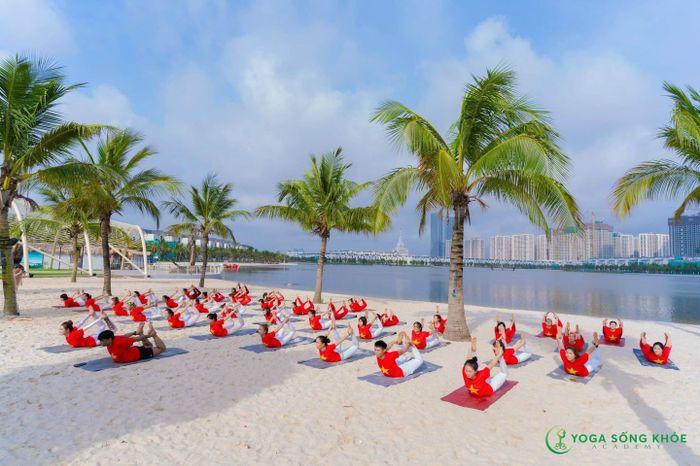 Ảnh 2 của Học Viện Yoga Sống Khỏe