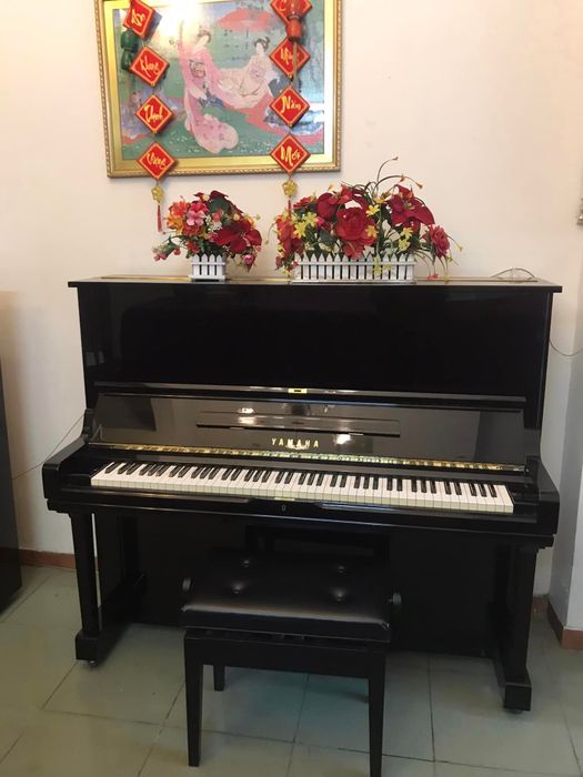 Hình ảnh Hùng Piano 2