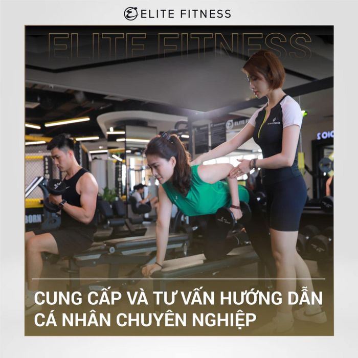 Hình ảnh 1 của Elite Fitness Vinh