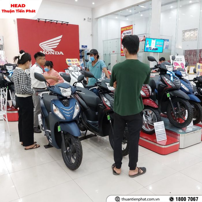 Hình ảnh Hệ Thống HEAD Thuận Tiến Phát 2