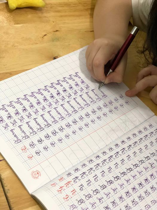 Luyện Chữ Đẹp Hải Lê hình ảnh 2