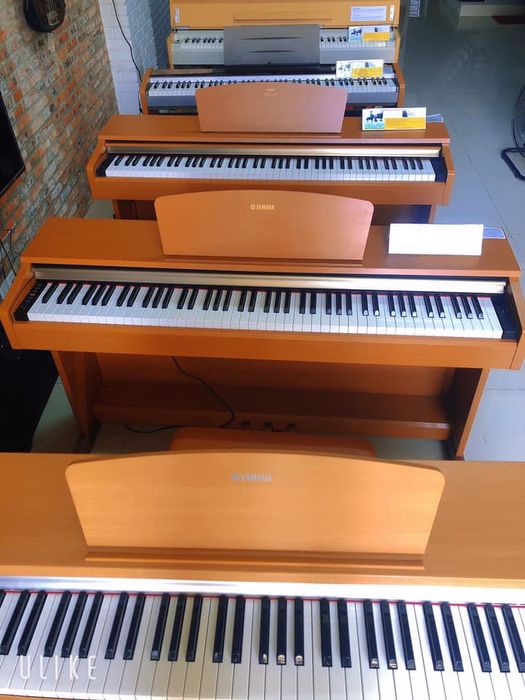 Dương Cầm Music hình 1