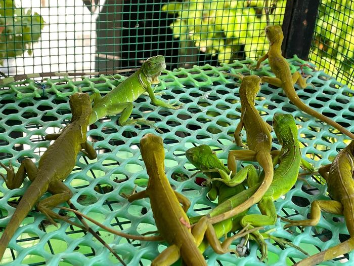 Hình ảnh Trung Thịnh 2