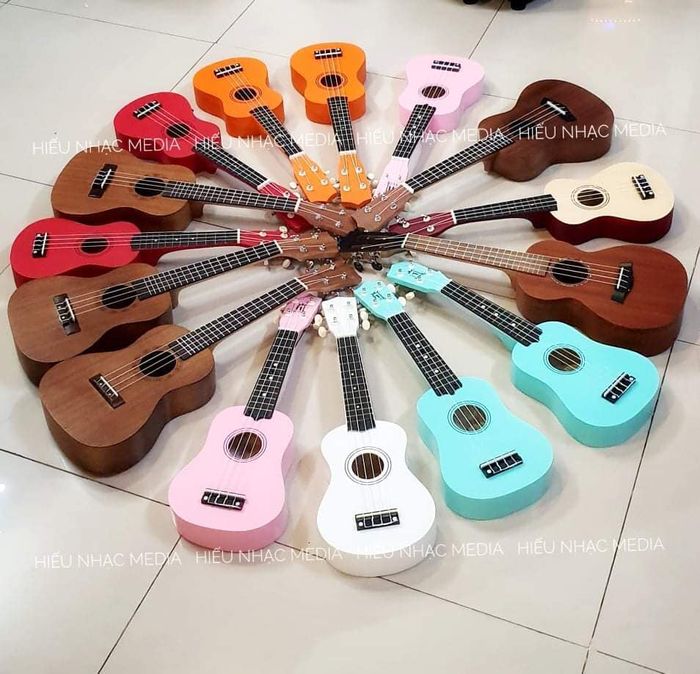 Hiếu Nhạc Quảng Nam hình 2