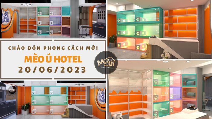 Hình ảnh Mèo Ú Hotel 2