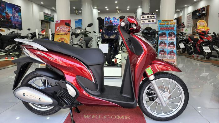 Hình ảnh Head Phượng Hoàng Nha Trang 2