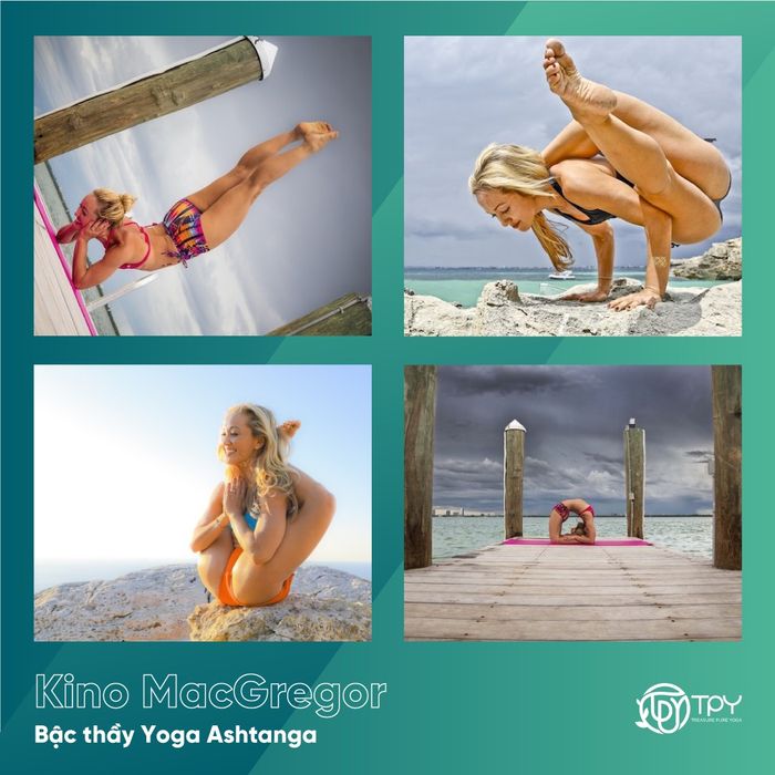 Học Viện Yoga Quốc Tế TPY - Hình ảnh 2