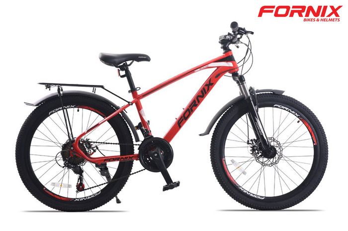 XE ĐẠP FORNIX - Ảnh 1