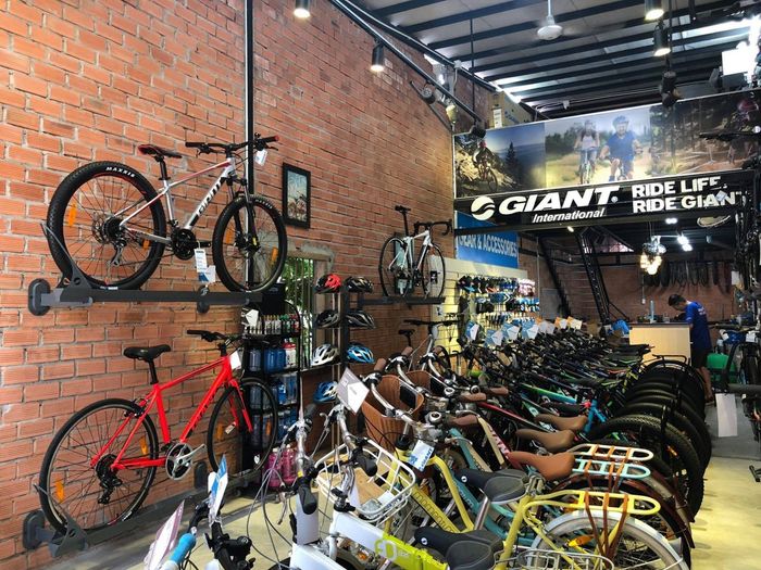 Giant International ảnh 3