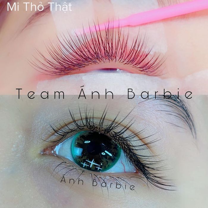 Ảnh của Ánh Barbie Eyelash Academy