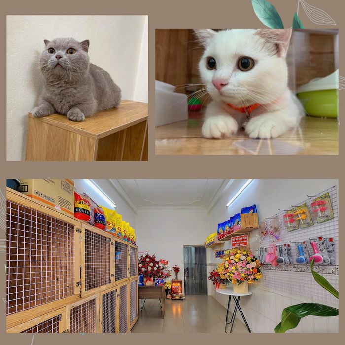 Hình 1 của Khách Sạn Thú Cưng Pet Friend
