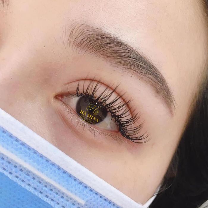 Hà Mina hình ảnh 1