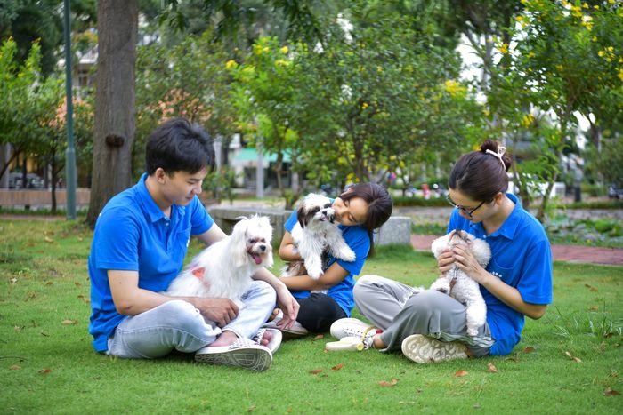 Cửa hàng thú cưng Cobi - Hình 2