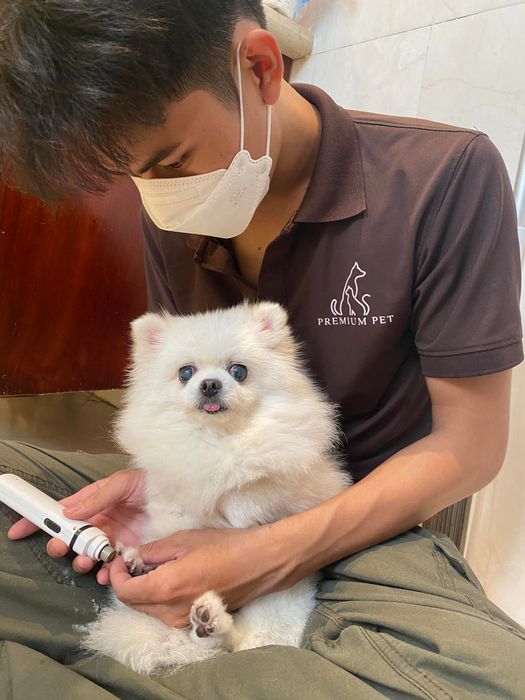 Hình 1 của Premium Pet