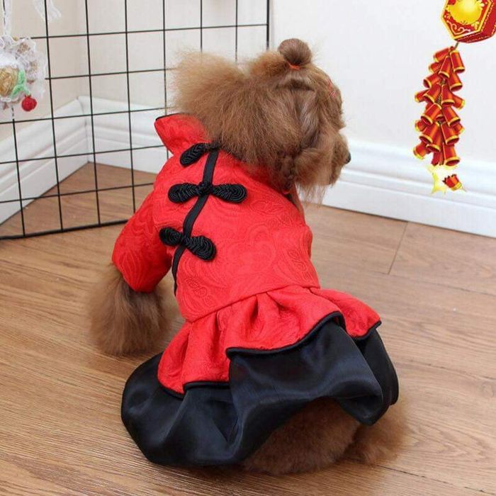 Hình 2 của Rin Rin PetCare