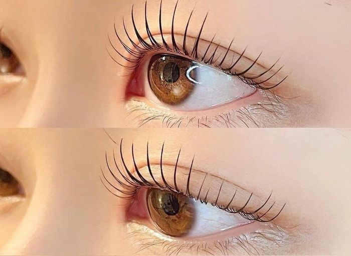 Ảnh của Út Nối Mi (Bé Trùm Nối Mi) 1