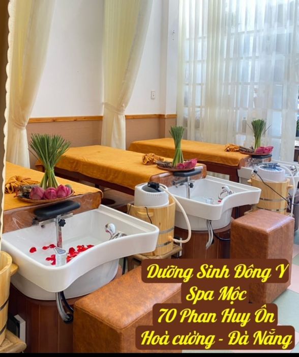 Hình ảnh Dưỡng Sinh Mộc - 2