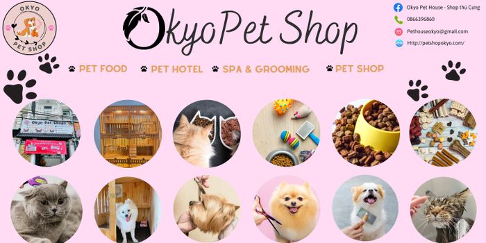 Hình 1 của Okyo Pet House